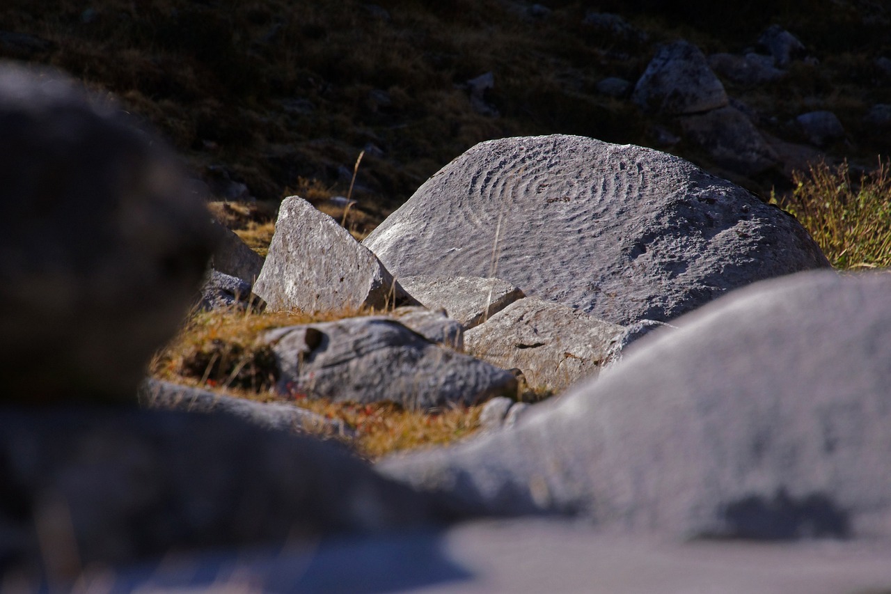 The Impact of Citizen Science on Archaeological Research